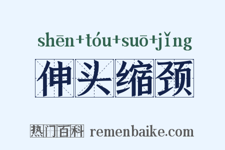 伸头缩颈是什么意思的图片